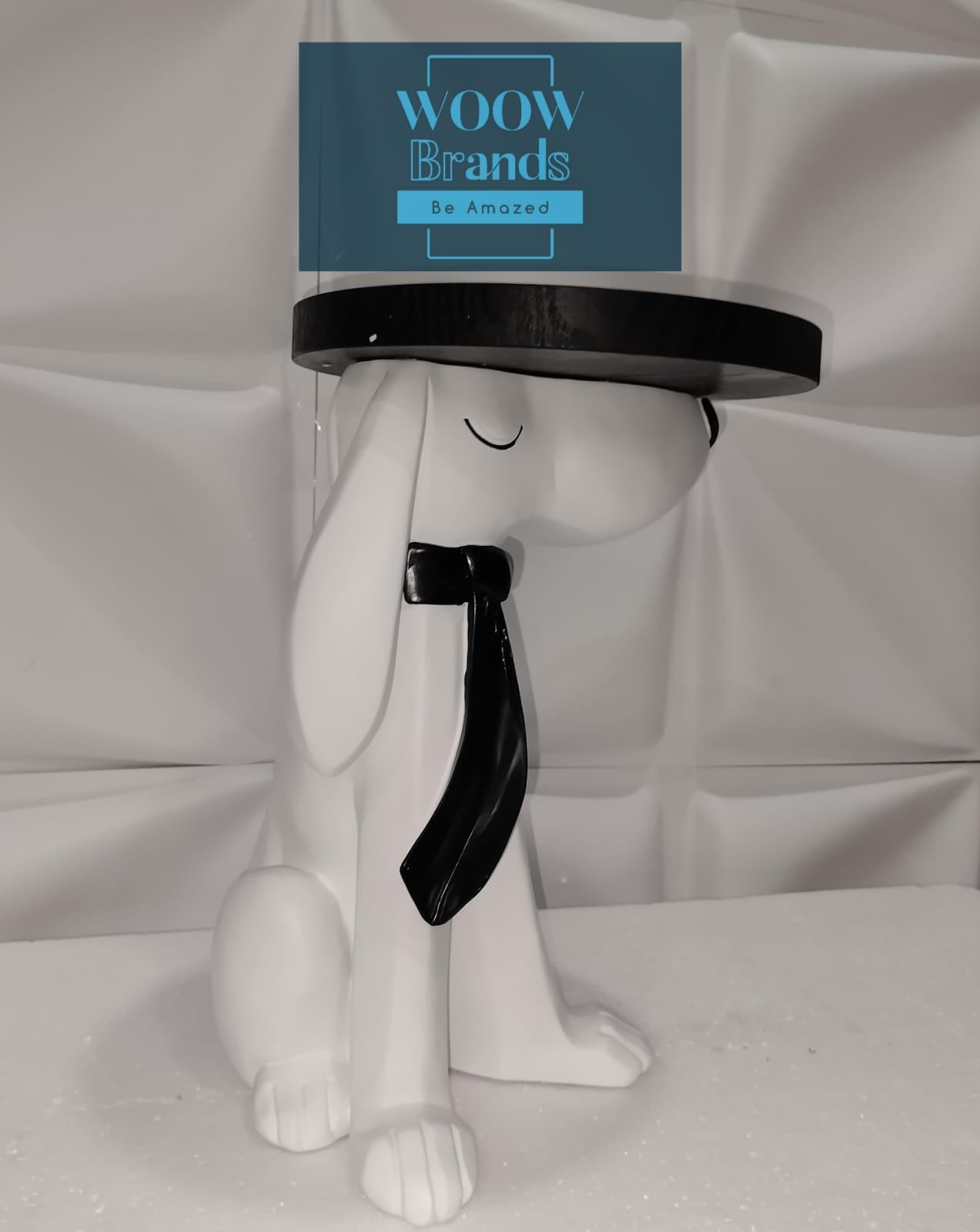 PERRITO BLANCO CON CHAROLA