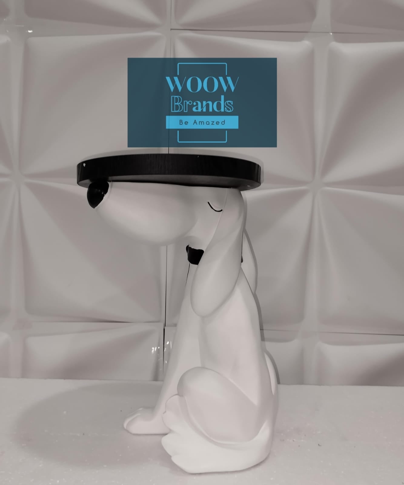 PERRITO BLANCO CON CHAROLA